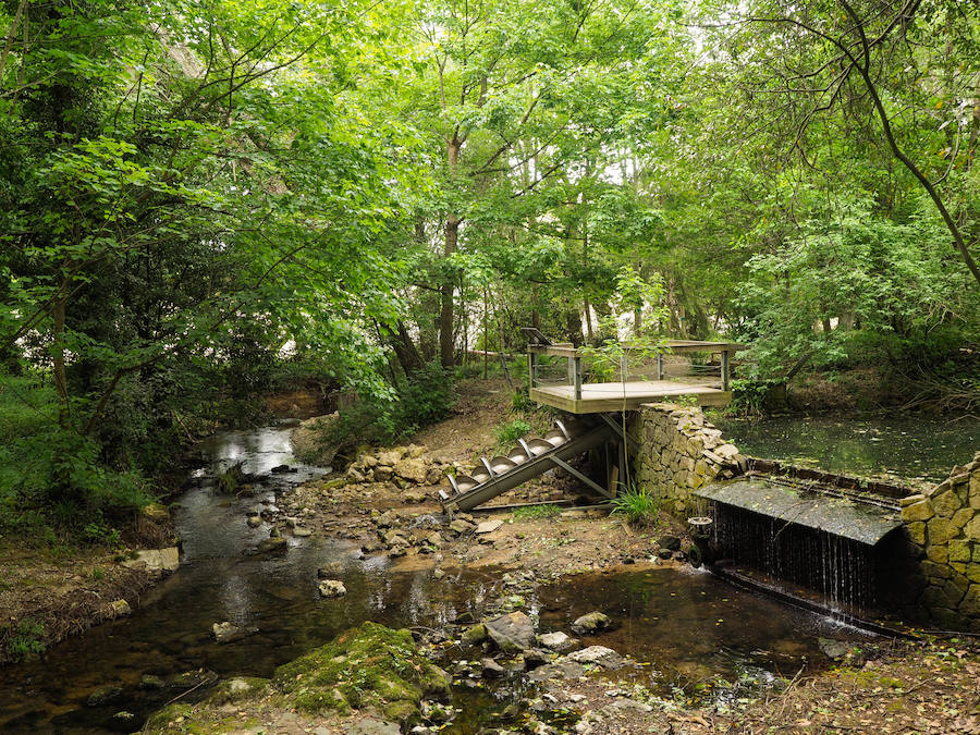 La laguna, de unos 1.300 metros cuadrados, se encuentra en la Finca de La Isla. En esta zona se encuentran también el Jardín Histórico y otros dos estanques. 