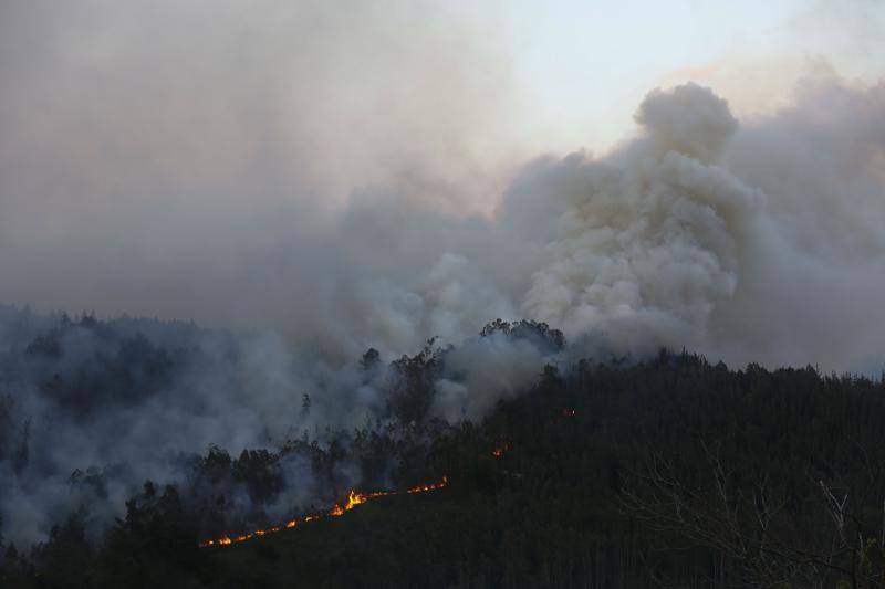 Los fuertes vientos han provocado que el humo se extendieran incluso sobre Gijón, Avilés o la ría de Villaviciosa.