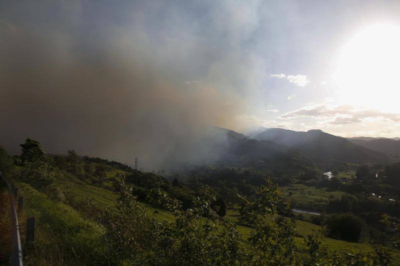 El incendio que afectó a los concejos de Candamo, Grado y Salas provocó una densa nube de humo que cubrió gran parte del centro de Asturias.