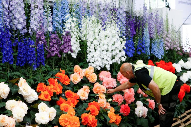 Ni la Reina de Inglaterra ha querido perderse el gran espectáculo del festival de flores y jardines más importante del mundo, que se celebra en la localidad británica de Chelsea. Impulsado en 1913 por la Real Sociedad de Horticultura, cuenta con más de 500 expositores y cada año supera los 160.000 visitantes. 