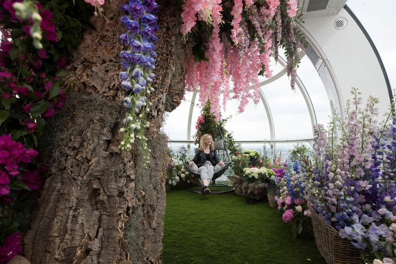 Ni la Reina de Inglaterra ha querido perderse el gran espectáculo del festival de flores y jardines más importante del mundo, que se celebra en la localidad británica de Chelsea. Impulsado en 1913 por la Real Sociedad de Horticultura, cuenta con más de 500 expositores y cada año supera los 160.000 visitantes. 