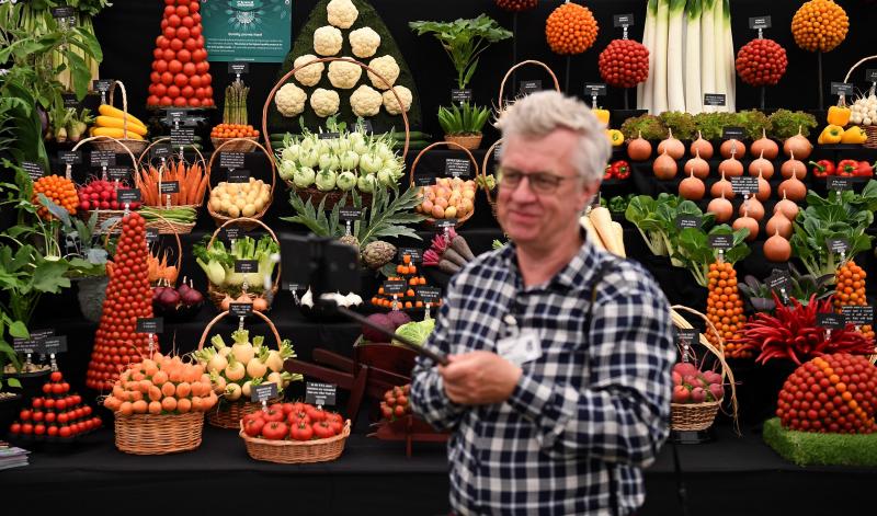 Ni la Reina de Inglaterra ha querido perderse el gran espectáculo del festival de flores y jardines más importante del mundo, que se celebra en la localidad británica de Chelsea. Impulsado en 1913 por la Real Sociedad de Horticultura, cuenta con más de 500 expositores y cada año supera los 160.000 visitantes. 
