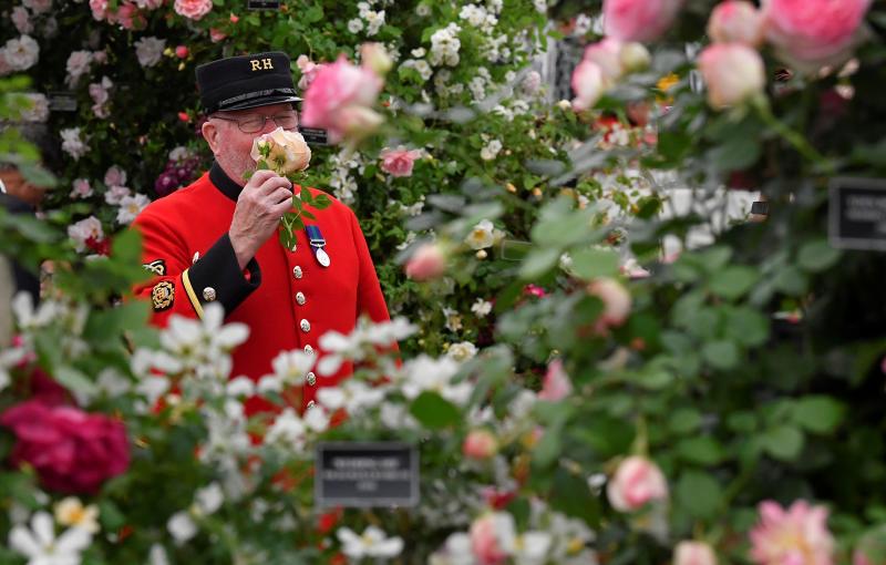 Ni la Reina de Inglaterra ha querido perderse el gran espectáculo del festival de flores y jardines más importante del mundo, que se celebra en la localidad británica de Chelsea. Impulsado en 1913 por la Real Sociedad de Horticultura, cuenta con más de 500 expositores y cada año supera los 160.000 visitantes. 