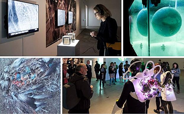 Doce nuevas miradas sobre la naturaleza, la tecnología y el hombre