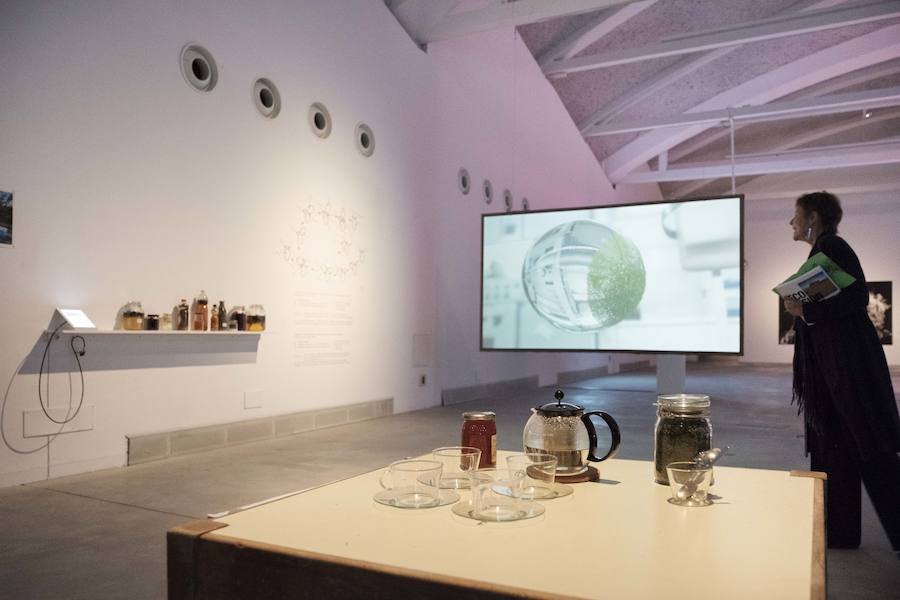 Heidy Baggenstos y Andreas Rudolf 'Fostering Duckweed'.