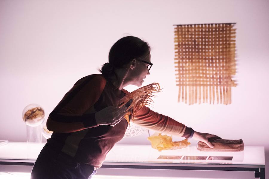 Annemarie Maes 'Intelligent Guerilla Beehive'.