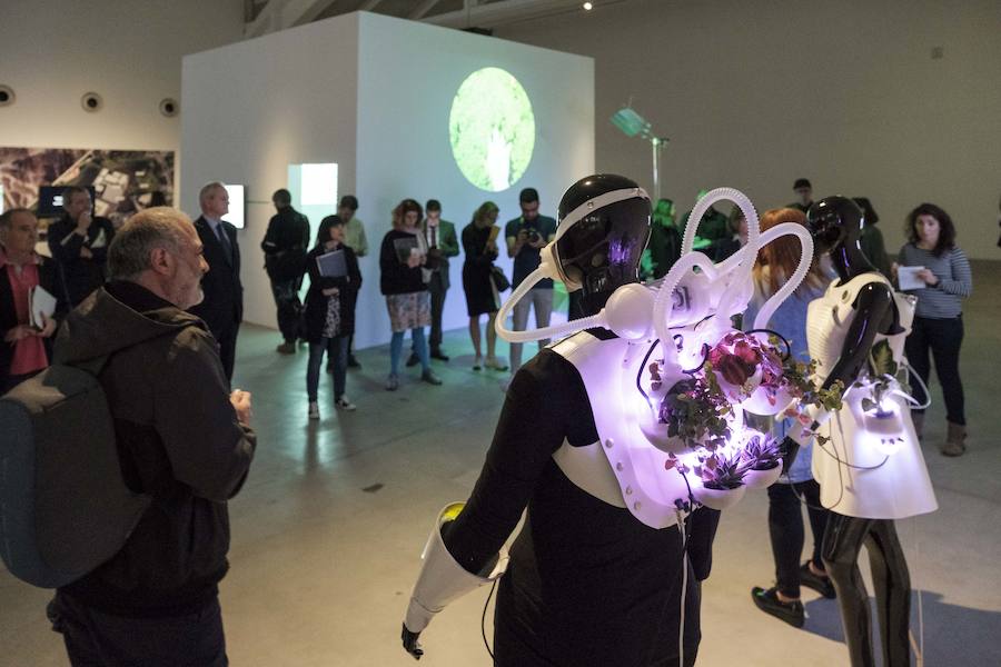 María Castellanos y Alberto Valverde 'Symbiotic Interaction'.