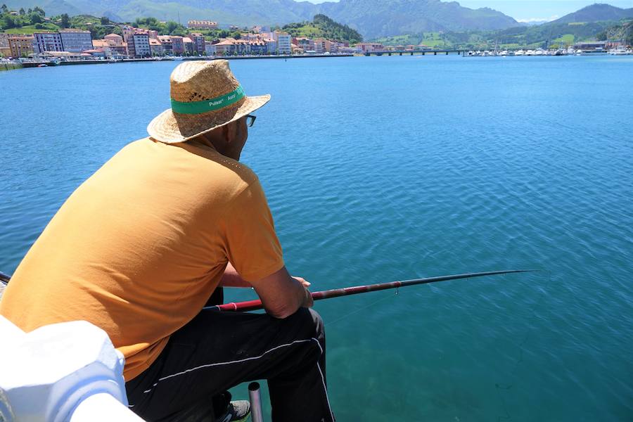 Los cielos despejados y las temperaturas, que han subido notablemente, invitando a los asturianos a disfrutar del aire libre. Las previsiones veraniegas se prolongarán hasta el domingo. 