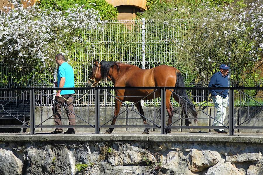 Los cielos despejados y las temperaturas, que han subido notablemente, invitando a los asturianos a disfrutar del aire libre. Las previsiones veraniegas se prolongarán hasta el domingo. 