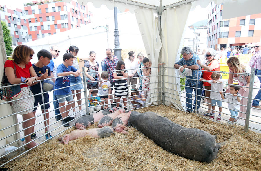 El alcalde en funciones, Wenceslao López, destacó este domingo el éxito de la feria de La Ascensión que se ha celebrado durante el fin de semana en diversos escenarios de la ciudad