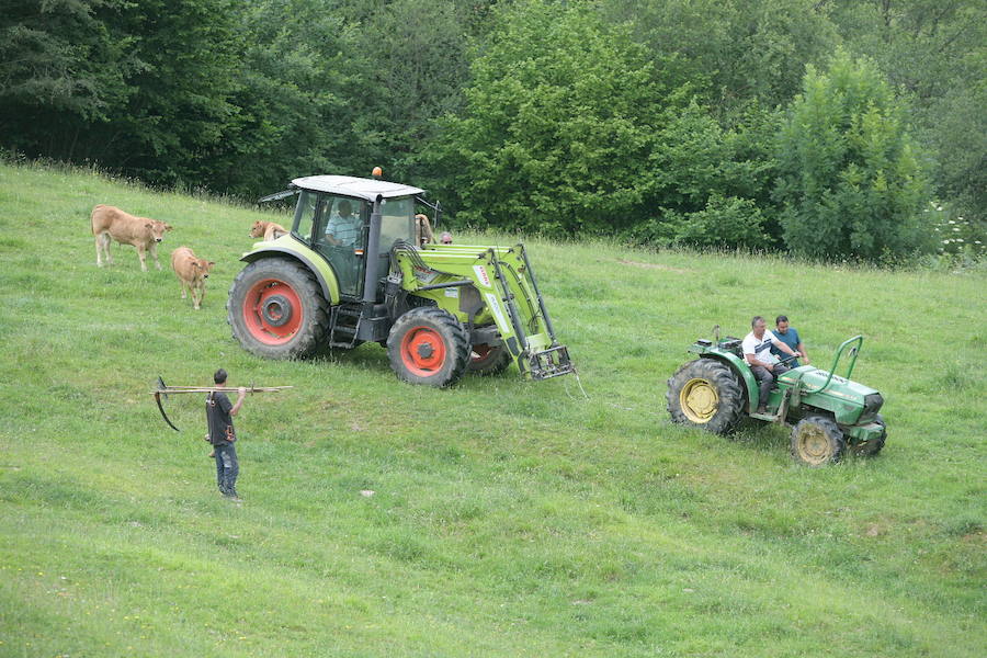 Un hombre de 77 años ha fallecido al volcar con el tractor que conducía en Coalla, en el concejo de Grado. 