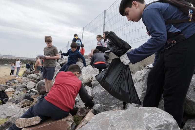 Un centenar de alumnos de quinto y sexto de Primaria del colegio Príncipe de Asturias de Gijón ha participado en el proyecto ambiental 'Aulas Libera' de Ecoembes y SEO BirdLife y han retirado varias bolsas de basura de la playa de El Arbeyal. Dentro había colillas, plásticos, incluso restos de pesticidas.