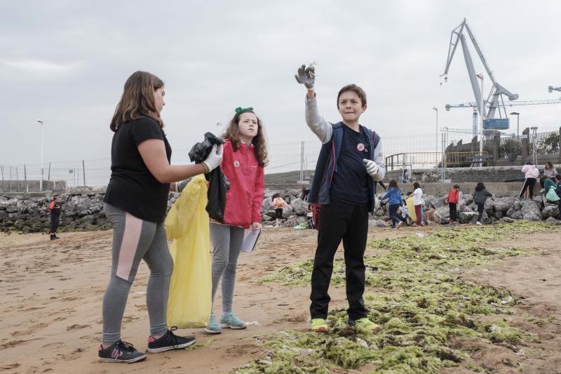 Un centenar de alumnos de quinto y sexto de Primaria del colegio Príncipe de Asturias de Gijón ha participado en el proyecto ambiental 'Aulas Libera' de Ecoembes y SEO BirdLife y han retirado varias bolsas de basura de la playa de El Arbeyal. Dentro había colillas, plásticos, incluso restos de pesticidas.