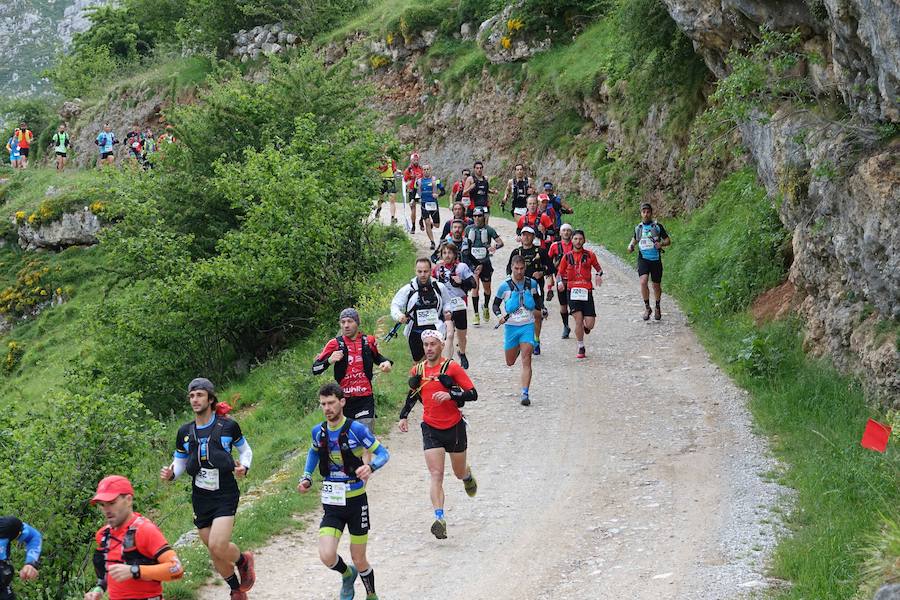 El mundo del trail asturiano tuvo hoy una cita ineludible en los Picos de Europa, con la celebración de la VII Traveserina, una de las carreras del calendario asturiano que discurre por los parajes de los Picos de Europa, partiendo desde Sotres para llegar hasta Arenas de Cabrales