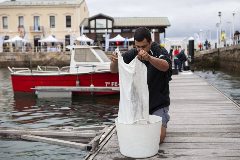 Neumáticos, cristales, un radiocasete, una papelera... Entre los kilos de basura que extrajeron los miembros de la Federación de Actividades Subacuáticas del Principado había de todo. La tarea tuvo mucha expectación y, entre los propósitos de la misma estaba concienciar a la sociedad. 