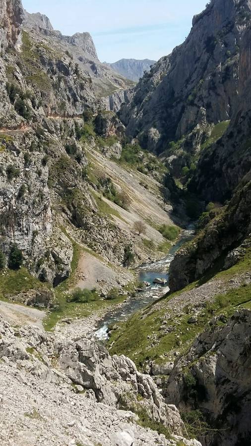 Unas espectaculares imágenes que reflejan a la perfección la belleza de esta senda que discurre a través de los Picos de Europa.