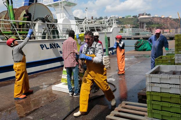 Pescadores del 'Playa do Torno' y operarios de la lonja gijonesa, ayer, en las labores de descarga de la embarcación. 