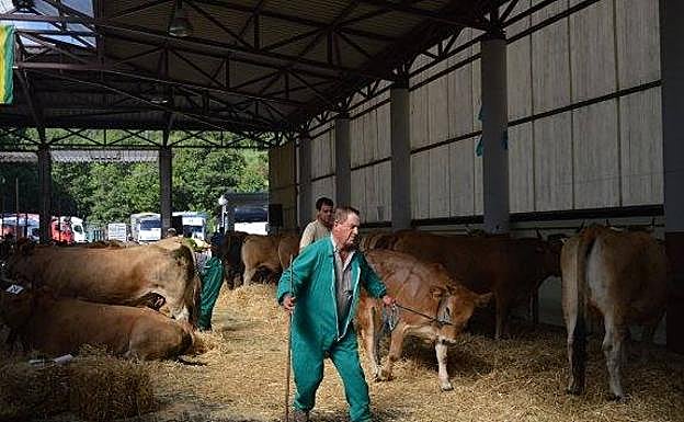 Feria del ganado de Allande.