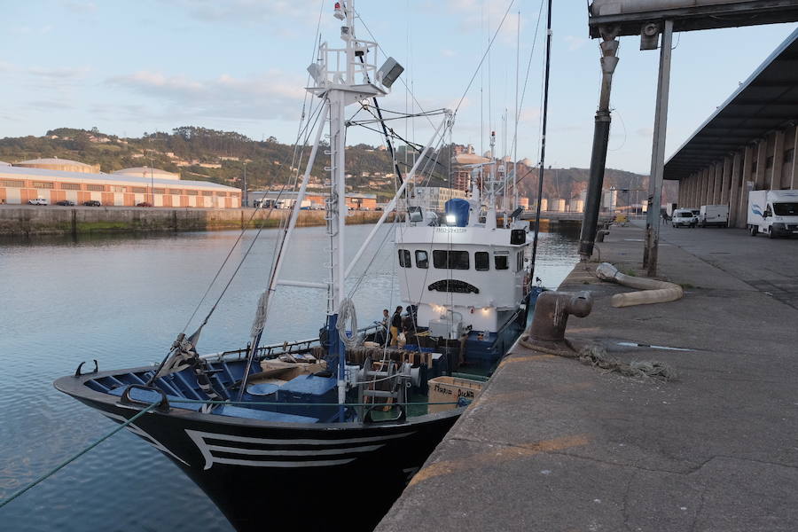 La Lonja comienza hoy la temporada de bonito con al subasta de 7.000 kilos del Atlántico