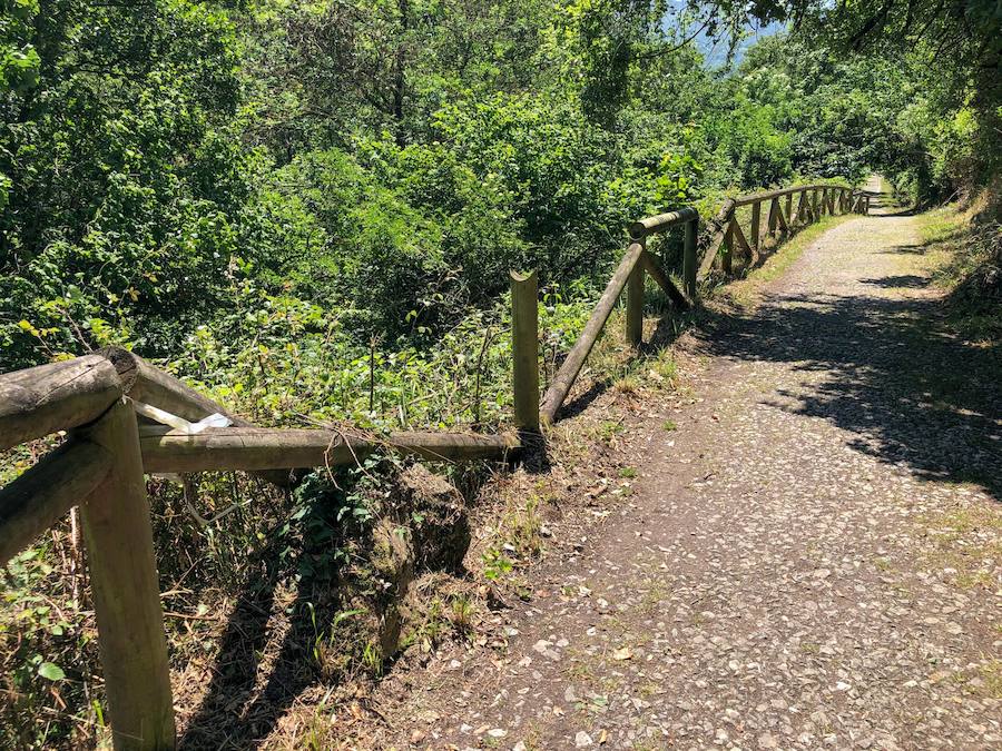 A pesar de la anuncianda «intervención de urgencia» en la Senda del Oso, tras los dos accidentes de mayo, uno de ellos mortal, la ruta aún permanece con desperfectos. Tal y como EL COMERCIO pudo comprobar este fin de semana, en el tramo de Proaza a Teverga, en menos de tres kilómetros, se pueden encontrar más de diez puntos con vallas rotas, con y sin señalización del peligro que ellos conlleva. 