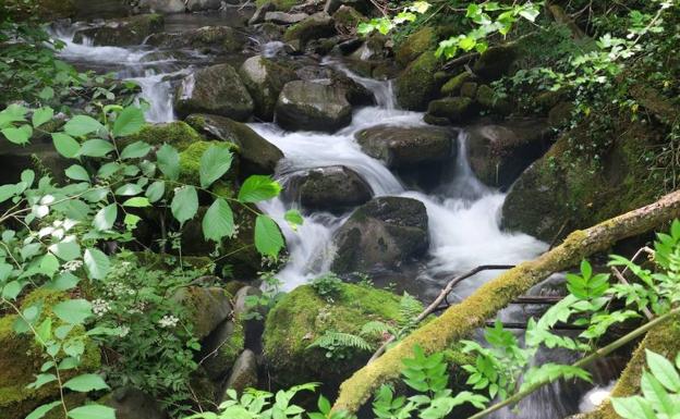 Rio Víboli pasando por la Foz del Cándanu.