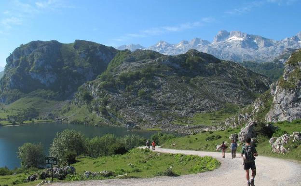 Inicio de la ruta desde la Collada Les Veleres. Al fondo núcleo central del Macizo Occidental de los Picos de Europa. 