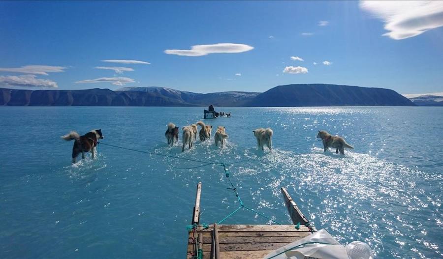 Espectacular imagen de unos perros tirando de un trineo sobre el agua en Groenlandia