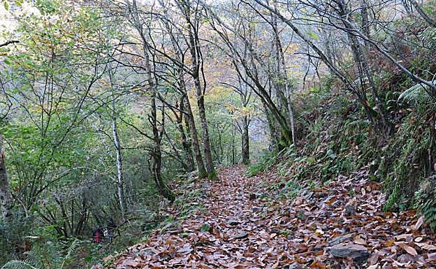 La pista, al inicio de la ruta.