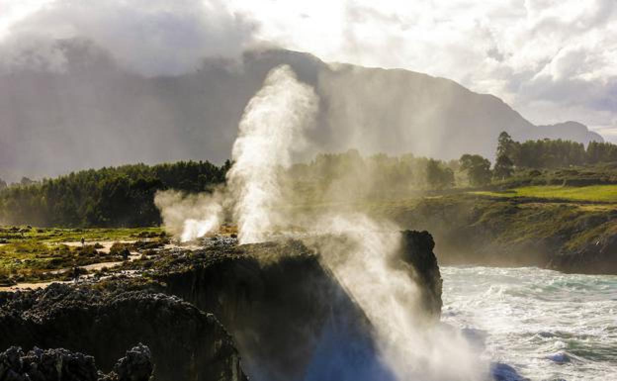 Los Bufones de Pría, en acción.