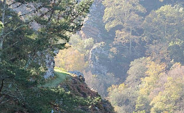 Coloridas vistas del otoño desde el camino.