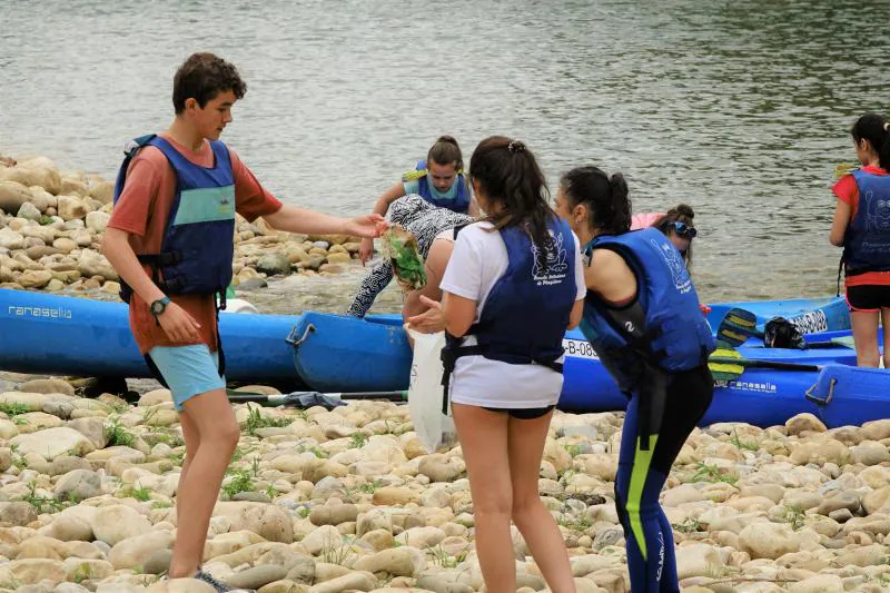 Un centenar de estudiantes del IES de Arriondas han aprovechado el descenso del Sella organizado por el centro para limpiar el río. 