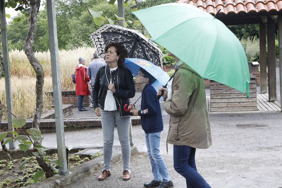 El Botánico dedica el Solsticio de Verano a 'La Cosecha' con un completo programa de actividades