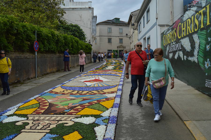Castropol celebra su fiesta del Corpus Christi con sus tradicionales alfombras florales. El tiempo concedió una tregua y cientos de visitantes y vecinos disfrutaron de 500 metros de alfombras hechas pétalo a pétalo. 