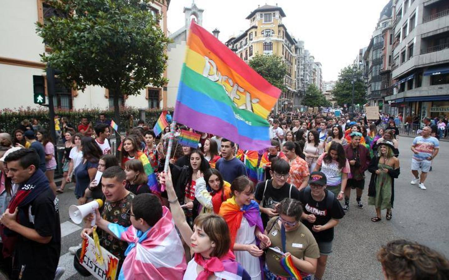 Cientos de personas participaron ayer en los distintos actos celebrados en Asturias con motivo del Día del Orgullo Gay. En Oviedo reivindicaron en una marcha un 'Orgullo Crítico' y a favor de la diversidad sexual.