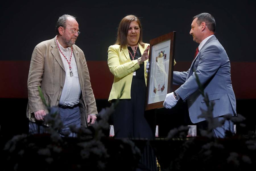 Las distinciones se entregron a Vicente Álvarez Areces, como hijo predilecto a título póstumo; al Hospital Universitario de Cabueñes, Medalla de Oro; a Tita Caravera, a Soledad Lafuente, a Sara Menéndez, a Luis Manuel Flórez y a Luis Miguel Piñera, Medallas de Plata