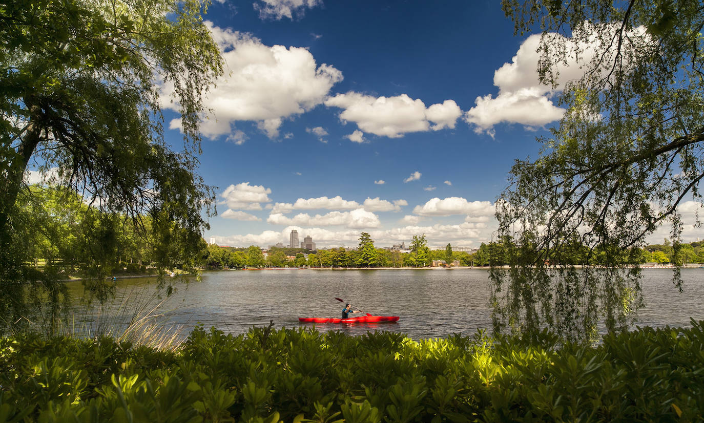 3. Acostumbrados al tráfico y al asfalto, Madrid también presume de espacios de esparcimiento, donde poder tomar el sol o simplemente practicar deporte. El gigante de la capital es la Casa de Campo, con algo más de 14 millones de metros cuadrados. El siguen a gran distancia el Parque forestal de Valdebebas (1.846.246 m² y el Retiro, el más conocido de todos, según el ranking de Holidu.