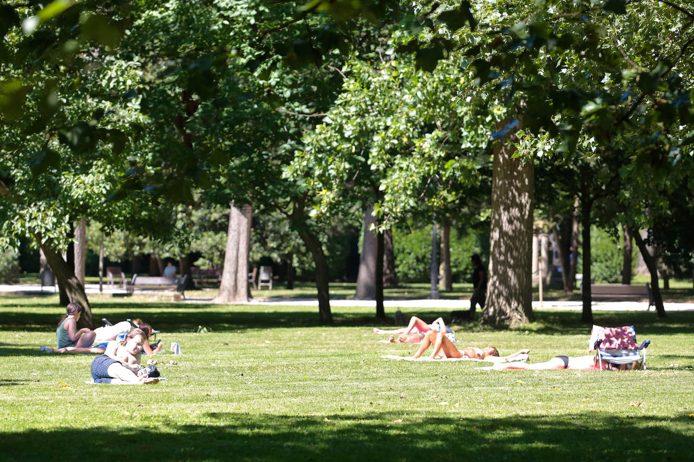 11. Gijón dispone de 7,85 m² por habitante de zonas verdes. Según este portal, la ciudad cuenta con un total de 2,14 km². Entre los principales parques de la ciudad asturiana se encuentran el Isabel La Católica, Los Pericones, El Fluvial (Viesques) o el Hermanos Castro, según el ranking de Holidu.