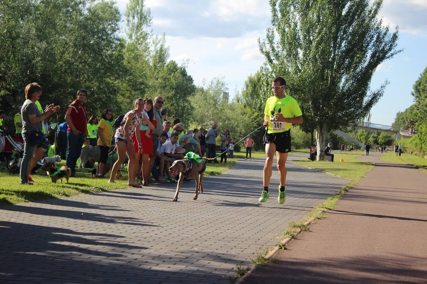 2. León cuenta con una oferta de parques muy amplia y variada. Entre los grandes pulmones de la ciudad se encuentran el Parque Público Monte San Isidro, el Parque del paseo de Papalaguinda y el Parque de la Granja, según el ranking de Holidu. 