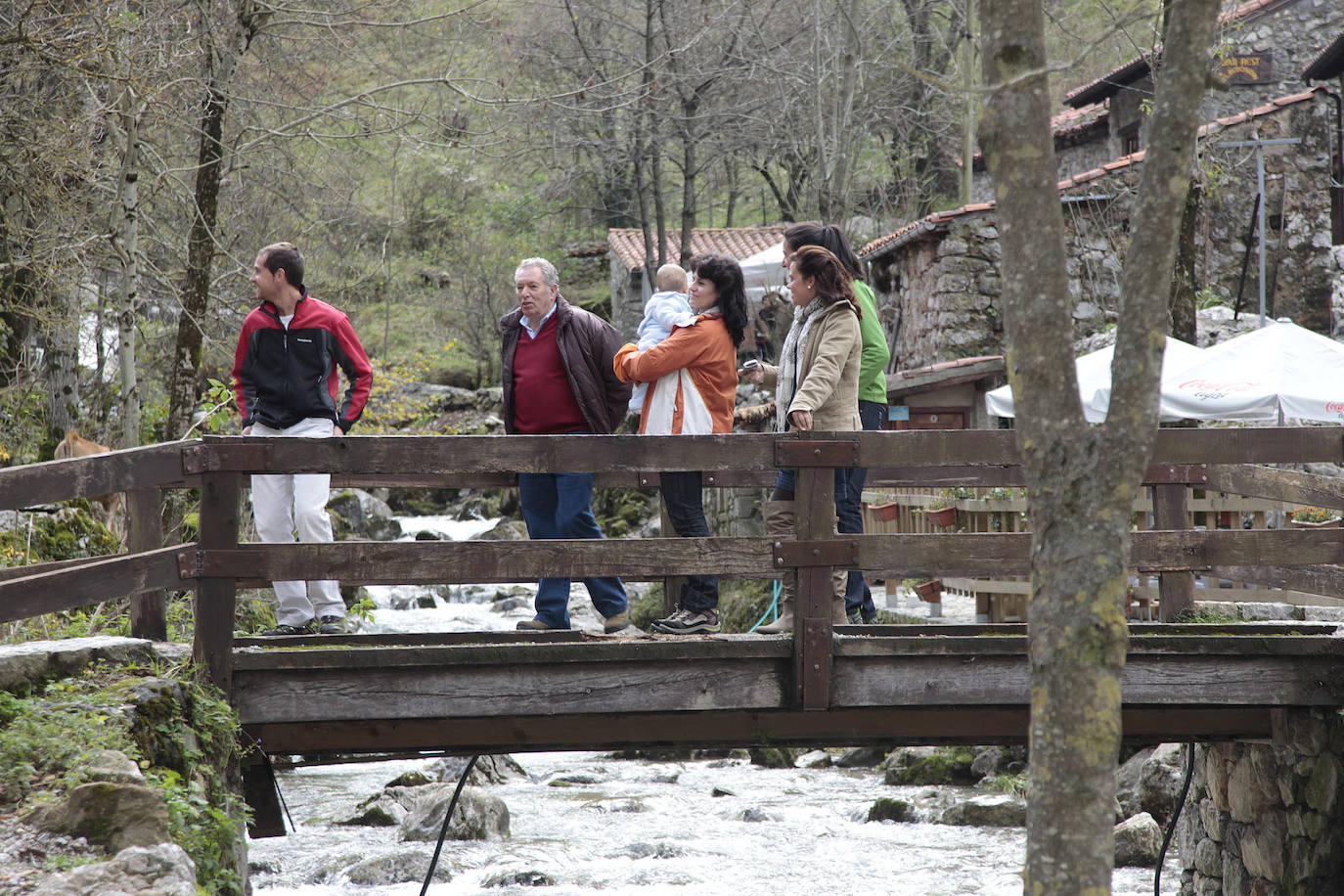  Bulnes