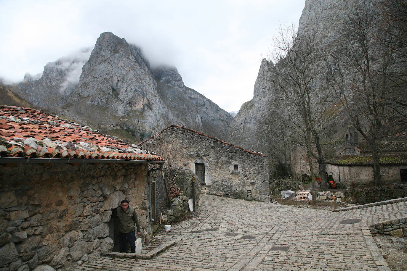  Bulnes