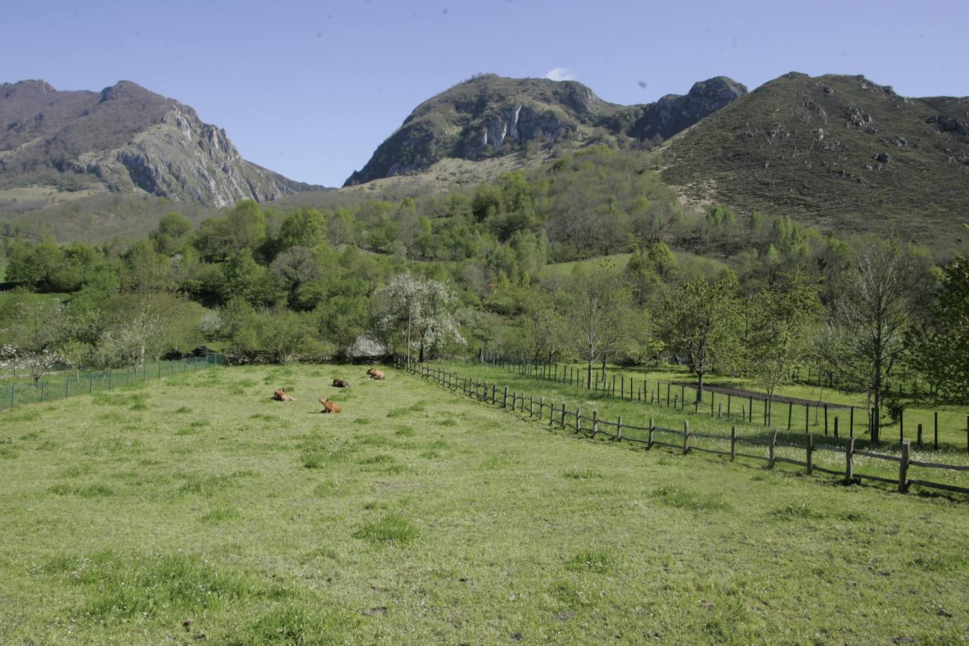 La Ruta del Alba es una de las más conocidas de Asturias. Declarada Monumento Natural, esta pista, principalmente ganadera, se encuentra en el fondo de un valle y discurre junto al río Alba o Llaímo. La ruta de 6,2 kilómetros, comienza en la localidad de Soto de Agues y está catalogada con un grado de dificultad baja, por lo que resulta ideal para ir con niños.