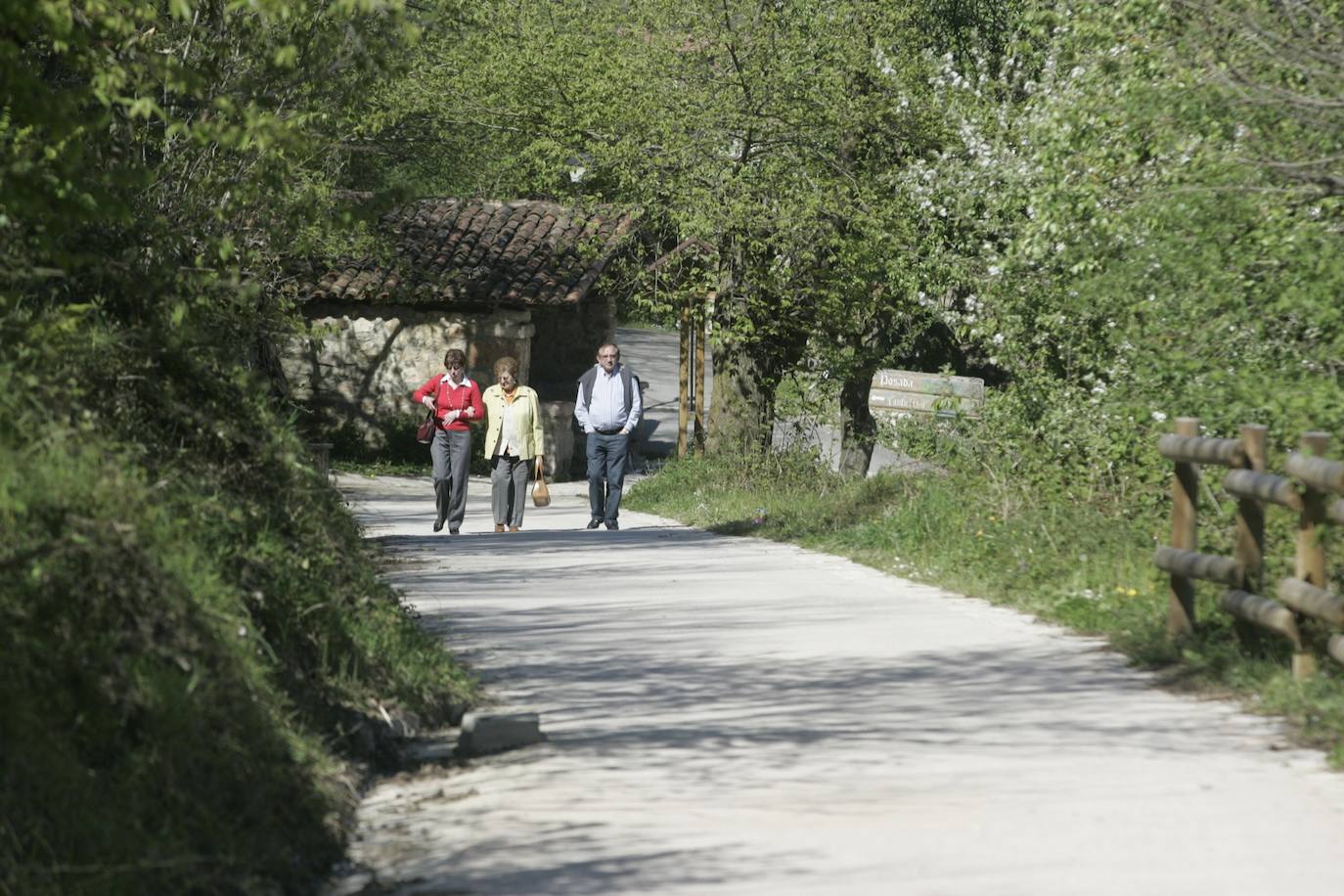 La Ruta del Alba es una de las más conocidas de Asturias. Declarada Monumento Natural, esta pista, principalmente ganadera, se encuentra en el fondo de un valle y discurre junto al río Alba o Llaímo. La ruta de 6,2 kilómetros, comienza en la localidad de Soto de Agues y está catalogada con un grado de dificultad baja, por lo que resulta ideal para ir con niños.