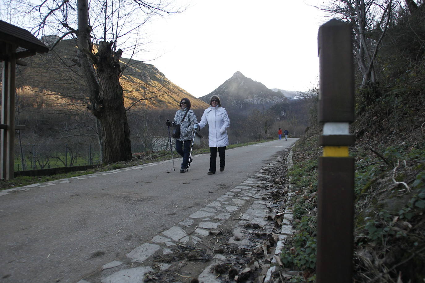 La Ruta del Alba es una de las más conocidas de Asturias. Declarada Monumento Natural, esta pista, principalmente ganadera, se encuentra en el fondo de un valle y discurre junto al río Alba o Llaímo. La ruta de 6,2 kilómetros, comienza en la localidad de Soto de Agues y está catalogada con un grado de dificultad baja, por lo que resulta ideal para ir con niños.
