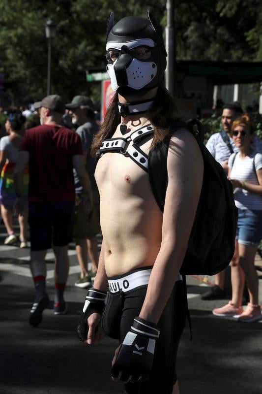 Miles de personas han participado en la manifestación del Orgullo LGTBI en Madrid, una cita reivindicativa y festiva que este año ha rendido homenaje a los pioneros del movimiento.