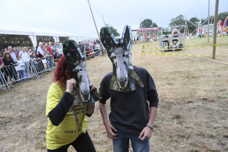 Las fiestas de San Cristóbal de Collao celebraron ayer ante cientos de personas la tradicional carrera de burros, que no estuvo exenta de polémica. La organización del evento y EQUO mantuvieron un tenso enfrentamiento.