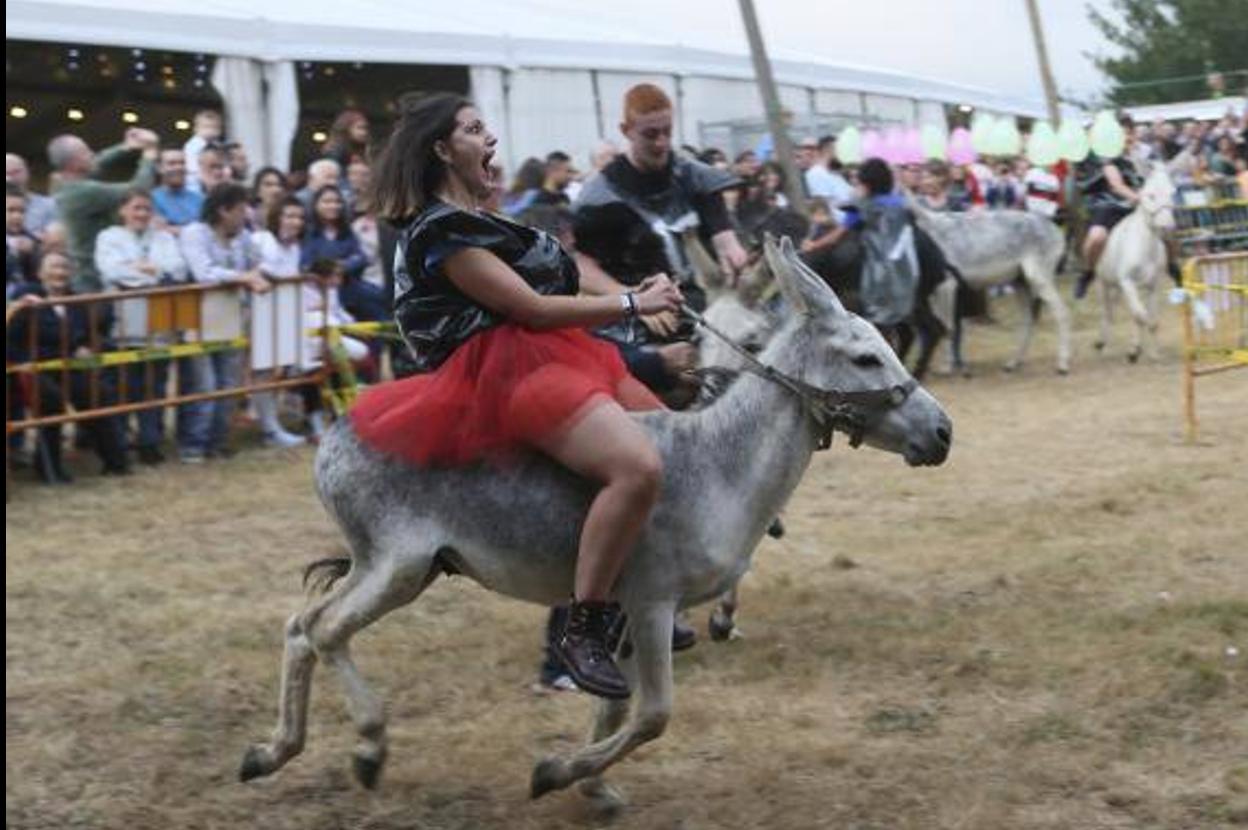 La carrera de burros de las fiestas de Collao se celebra a pesar de la  polémica | El Comercio: Diario de Asturias