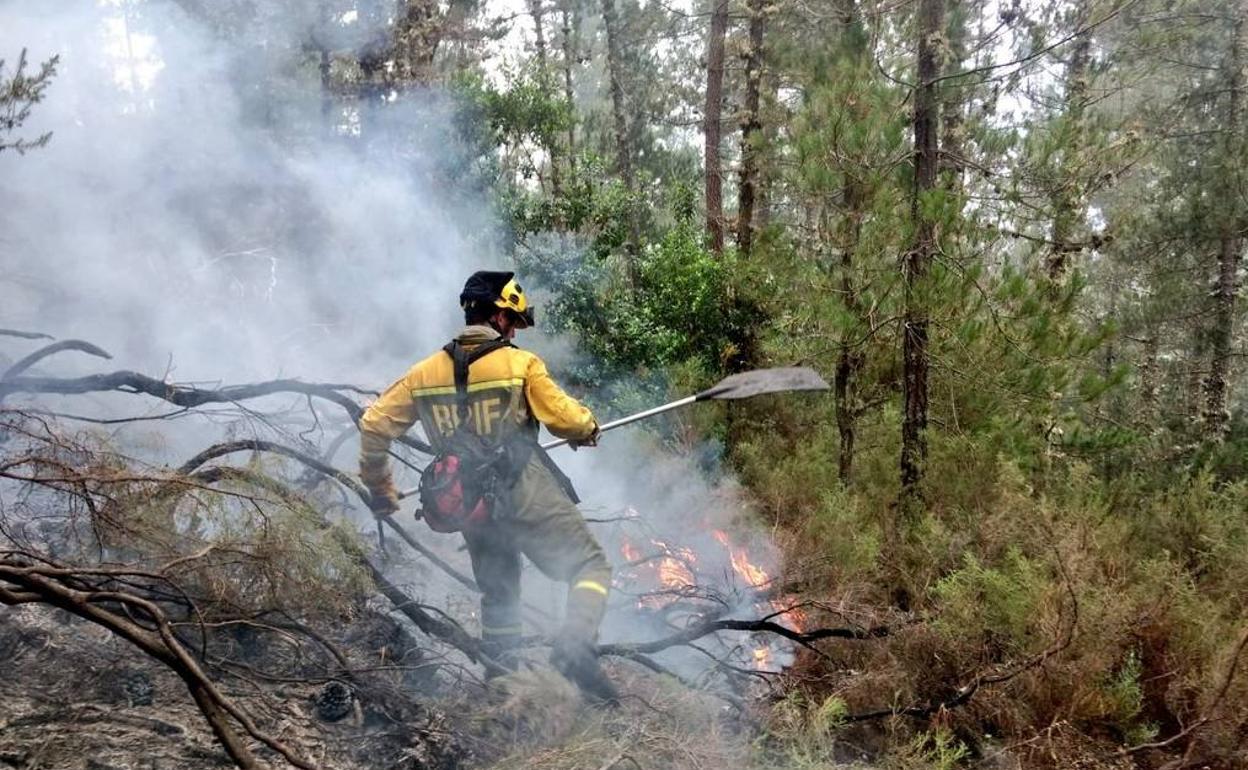 Un miembro de las Brigadas de Refuerzo de Incendios Forestales de Tineo, sofocando el fuego. 