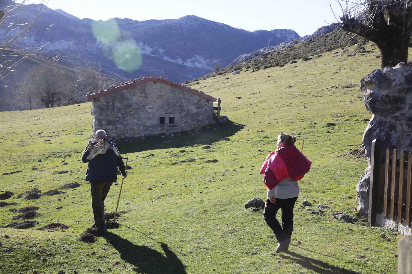 Vega de Enol.