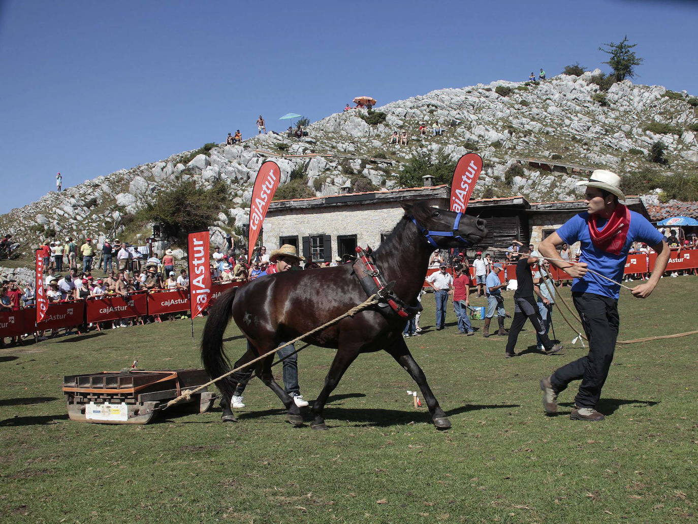 La popular fiesta del Asturcón, que se celebra todos los años en Piloña el tercer sábado de agosto, acaba de ser declarada festejo de Interés Turístico Nacional. De esta manera se convierte en la séptima celebración asturiana con esta distinción.