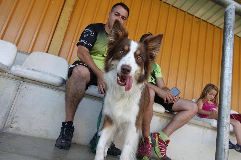 Fotos: Cangas de Onís acoge a la élite canina